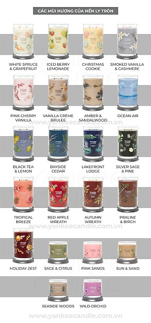 Nến ly tròn sáp đậu nành Yankee Candle size L (567g) - Bayside Cedar