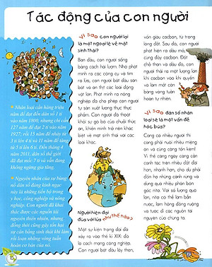 Sách Vì Sao? Như Thế Nào? - Sinh Thái (Tái Bản)