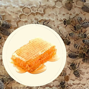 Combo Mật ong rừng thượng hạng Mẹ Tiên Honimore 500g - tăng cường sức đề kháng