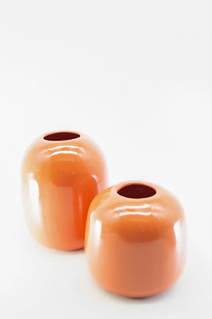 Bình Hoa Mimosa - Nhỏ