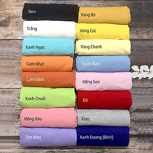 Áo Thun Tay Lỡ Trơn Nhiều Màu Vải Dày Không Xù Lông.