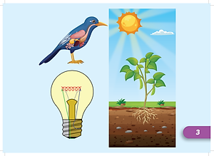 Tiếng Anh 5 i-Learn Smart Start - Flashcards