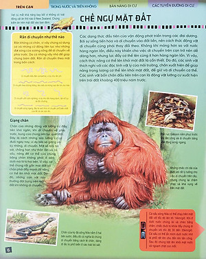 Sách Di Chuyển Và Di Cư