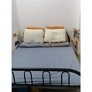 Giường Ngủ Gấp Đẹp Thông Minh Hiện Đại YLF2198 Giường Xếp Văn Phòng Gia Đình 1 Tầng - Hàng Chính Hãng