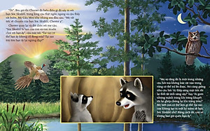 Sách Gấu Mèo Chester Và Quả Sồi Đong Đầy Kỉ Niệm (Tái Bản)