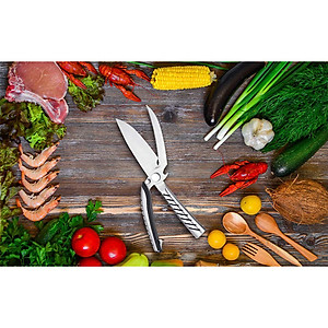 Kéo Cắt Gà Đa Năng Kamikoto Monster Scissors Nhật Bản