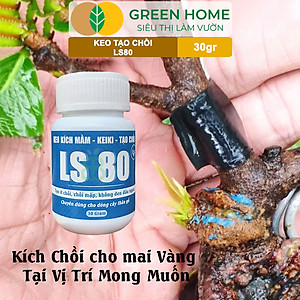 Keo Tạo Chồi LS80, Greenhome, Hũ 30gr, Tạo Mầm Tại Vị Trí Bất Kỳ, Có Chọn Lọc, Không Suy Cây, Đen Chồi