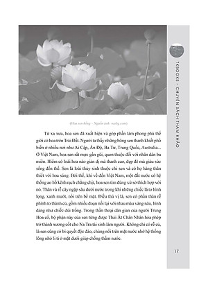 Sách Những Bài Văn Mẫu Lớp 8 (Tập 2)