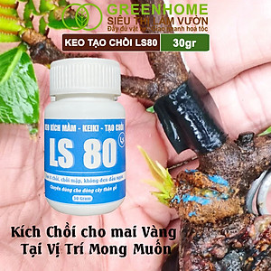 Keo Tạo Chồi LS80, Greenhome, Hũ 30gr, Tạo Mầm Tại Vị Trí Bất Kỳ, Có Chọn Lọc, Không Suy Cây, Đen Chồi