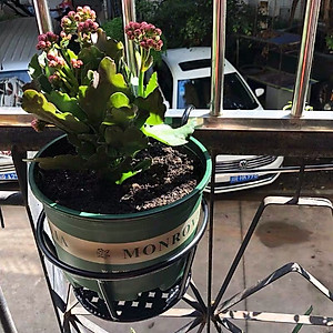 Giỏ treo chậu hoa ban công mạ chống han gỉ - GTC