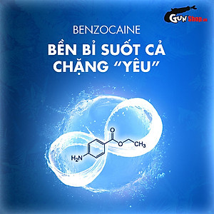 Bao cao su Shell Seahorse - Kéo dài thời gian - Hộp 10 cái