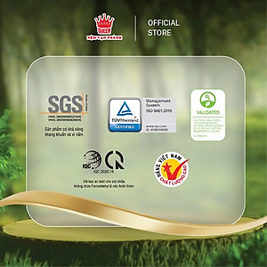  Nệm Cao Su Thiên Nhiên Vạn Thành Unique Plus