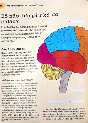 Sách Tối Ưu Hóa Trí Nhớ Bằng Phương Pháp Hình Ảnh