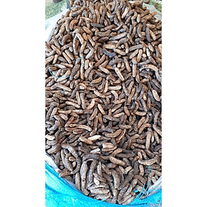 Đặc Sản Kon Tum - (Được Xem Hàng) Combo 3 Bì Chuối Hột Rừng Kon Tum Hút Chân Không (3Kg) - OCOP 3 Sao