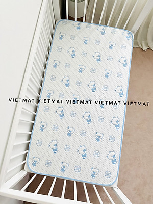 Tấm Lót Chống Thấm VIETMAT (70 x 100 cm)