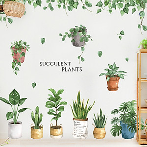 Decal dán tường Sticker dán tường in chất lượng cao có keo mặt sau mẫu Chậu Xương Rồng Vintage ZH71