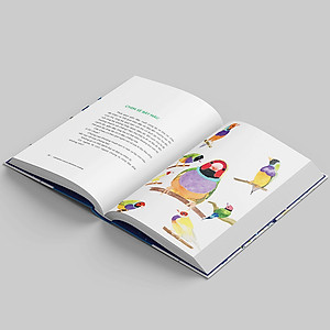 Sách Nhìn Lại Cuộc Sống Đẹp Biết Bao (Bìa Cứng)