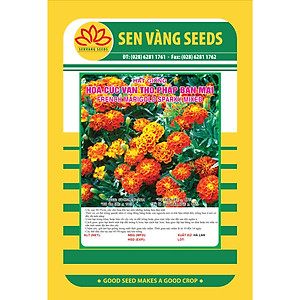 Hạt giống hoa Vạn Thọ Pháp Ban Mai VTS112