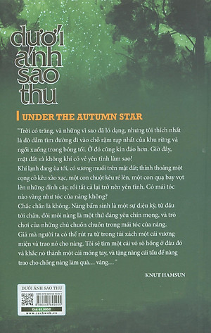 Sách Dưới Ánh Sao Thu - Tiểu Thuyết