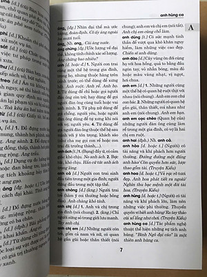 Từ Điển Tiếng Việt (Tái Bản) (Khổ nhỏ)