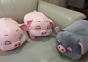 GỐI MỀN Heo Phê Ngủ 3 Trong 1, 4 Chiều Siêu Mịn, Bộ Chăn Gối Văn Phòng- Hàng Loại 1 Chuẩn Chính Hãng MINIIN