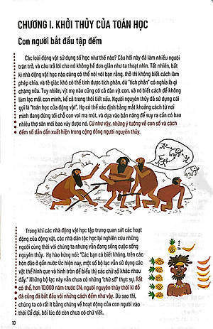 Lược Sử Toán Học - Từ Ý Tưởng Đến Thực Hành