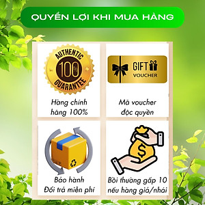 Đông Trùng Hạ Thảo Tây Tạng Teresa Herbs: Bổ Thận, Bổ Phổi, Bổ Tim, Tăng Cường Đề Kháng 60 viên