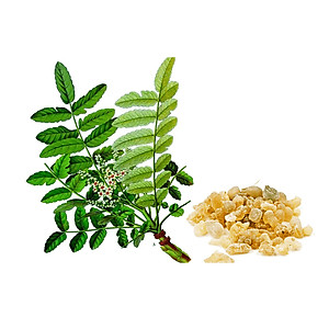 Thực phẩm bảo vệ sức khỏe Khớp khỏe mạnh Teresa Herbs Healthy Joint (lọ 90 viên)