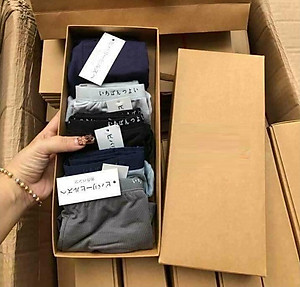 Combo 5 Quần Sịp Đùi Nam Thông Hơi Nhật Bản - MS88