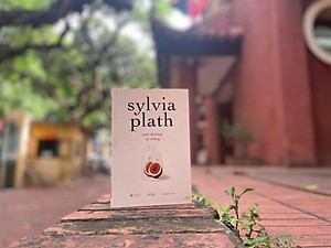 Sách Quả Chuông Ác Mộng