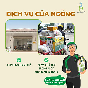 Gạo Ngỗng ST25 Sinh Thái Xát Lứt 3kg (Túi)