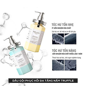 Combo  Dầu gội xả phục hồi đa tầng nấm Truffle Weilaiya hương nước hoa và Sữa tắm trắng da cánh hoa hồng Damask Weilaiya