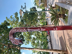 Gậy batoong gỗ trạm đầu rồng cho người già