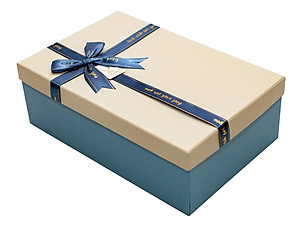 Hộp quà Chữ nhật C216 - 29,5 x 19,5 x 9,5cm - Giao màu ngẫu nhiên