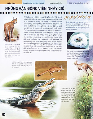 Sách Di Chuyển Và Di Cư