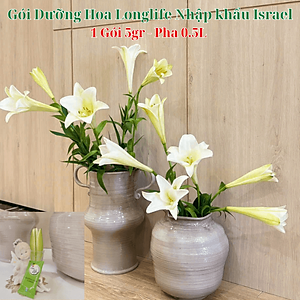  (COMBO 30 GÓI) GÓI DƯỠNG HOA TƯƠI LONGLIFE CỦA ISRAEL GIỮ HOA TƯƠI LÂU GẤP 2 LẦN VÀ 14 NGÀY KHÔNG THAY NƯỚC MỚI