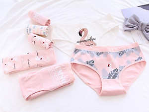 5 quần lót nữ tam giác cotton hình thiên nga