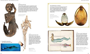 Sách Fantastic Beasts: The Wonder of Nature (Amazing Animals and the Magical Creatures of Harry Potter and Fantastic Beasts) (Paperback)