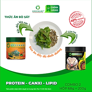 Thức ăn bò sát Rồng Úc GREENABC - Bearded Dragon – Hàm lượng protein 44.9% giúp tăng trưởng nhanh, lên màu đẹp, phát triển toàn diện – Hộp 68g