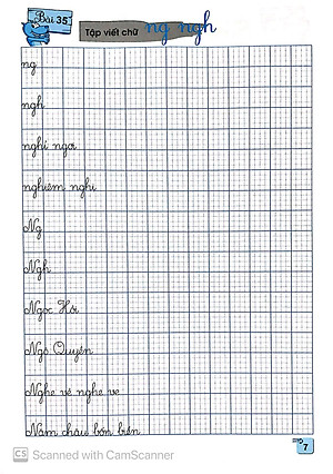 Sách Luyện Viết Chữ Đẹp Lớp 3 (Tập 2)