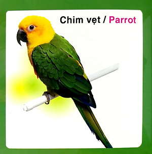 Từ Điển Hình Ảnh Cho Bé - Các Loài Chim