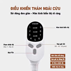 Thảm Ngải Cứu Điện, Đệm Sưởi Ngải Cứu Đông Y Nội Địa Trung Hỗ Trợ Đau Vai Gáy, Đau Lưng Nhức Mỏi Xương Khớp - TẶNG KÈM TÚI ĐỰNG HÀNG CHÍNH HÃNG MINIIN