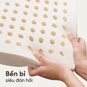 Nệm cao su Vạn Thành Standard chính hãng