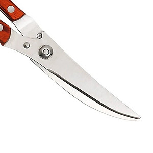 Kéo Cắt Gà K16 Nhập Khẩu TOKDODO Phân Phối