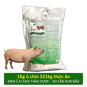Combo 2 gói BIO-MEN Men ủ thơm thảo dược. Men vi sinh ủ chín thức ăn cho Gia súc, Gia cầm
