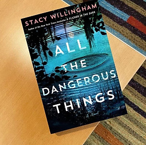 Sách All the Dangerous Things: A Novel