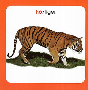 Từ Điển Hình Ảnh Cho Bé: Động Vật (Tái Bản 2019)