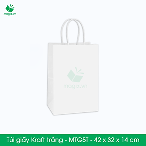 MTG5 MTG5T - COMBO 25 TÚI GIẤY KRAFT - 42x32x14 cm