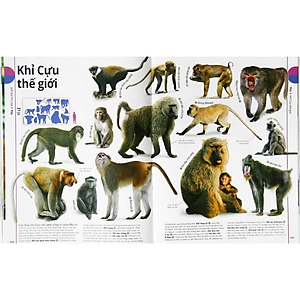 Sách Động Vật - Bách Khoa Thư Hình Ảnh Về Các Loài Vật Trên Trái Đất
