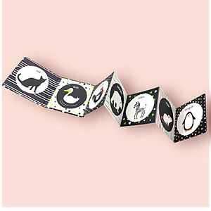 Sách Kích Thích Thị Giác Black And White 1 (Bìa Cứng)